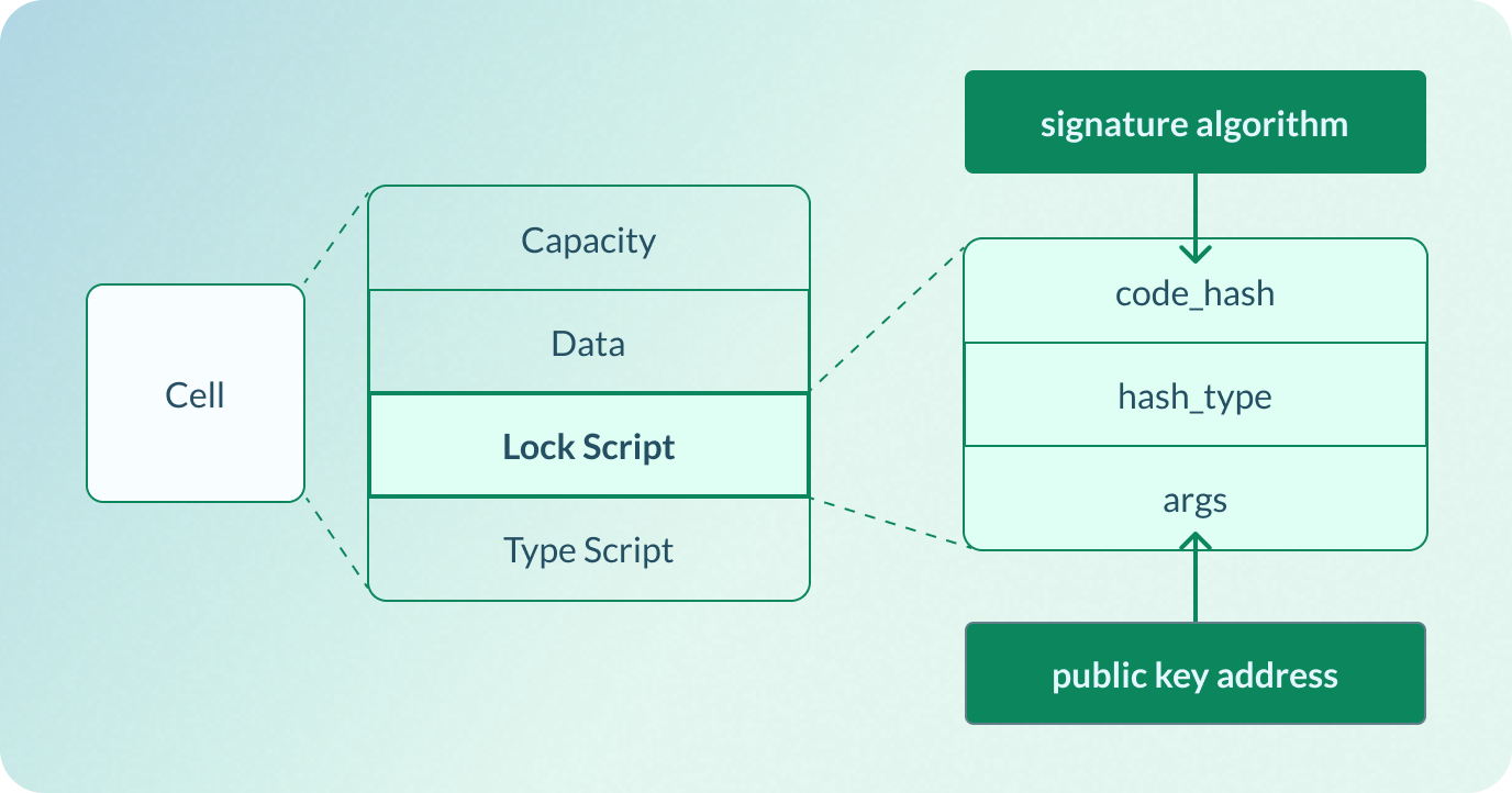 Structure of Lock Script